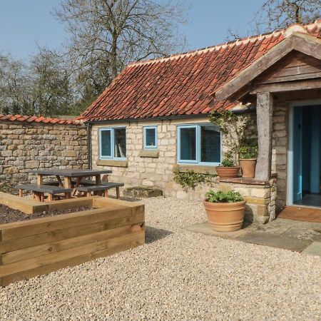 Foxglove Cottage Γιορκ Εξωτερικό φωτογραφία