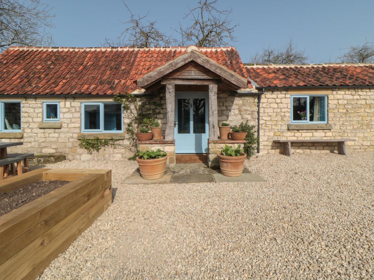 Foxglove Cottage Γιορκ Εξωτερικό φωτογραφία